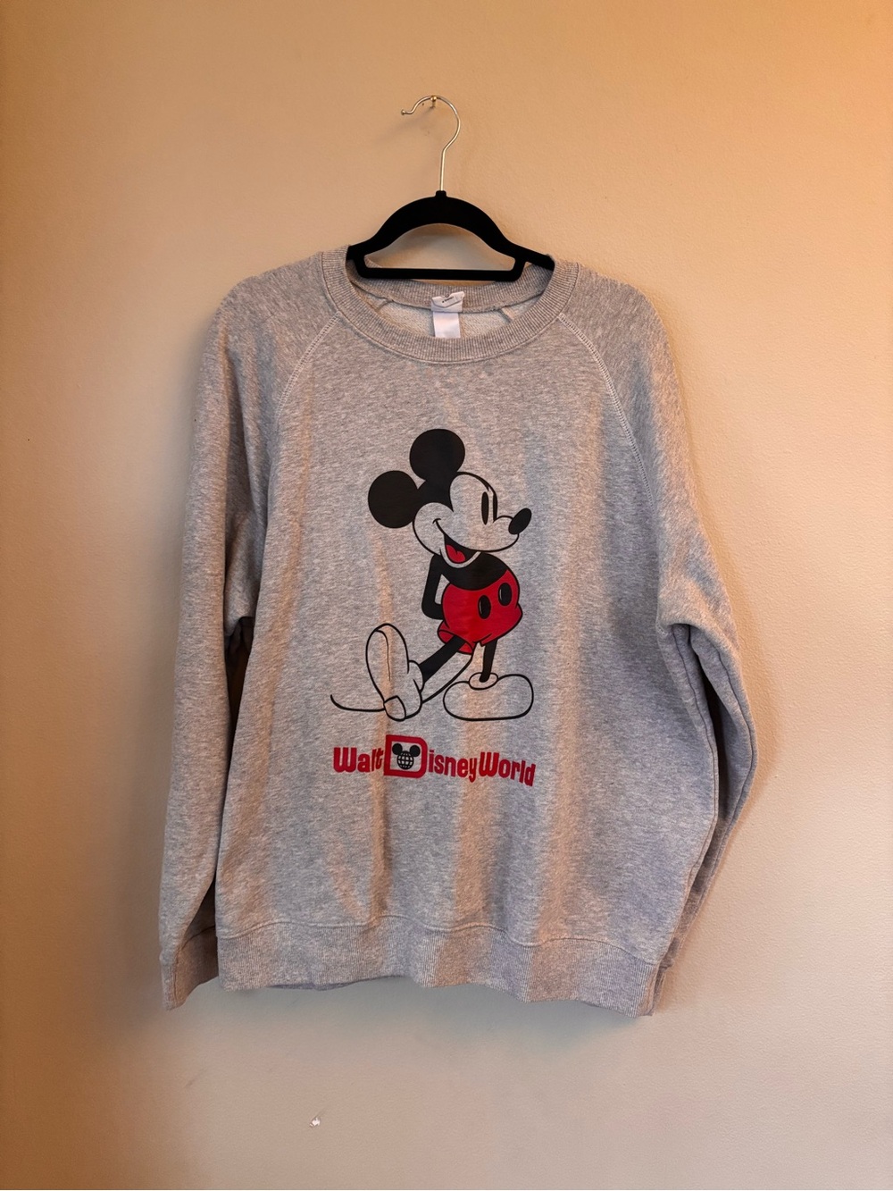 Disney Gray Sweatshirt & Shorts